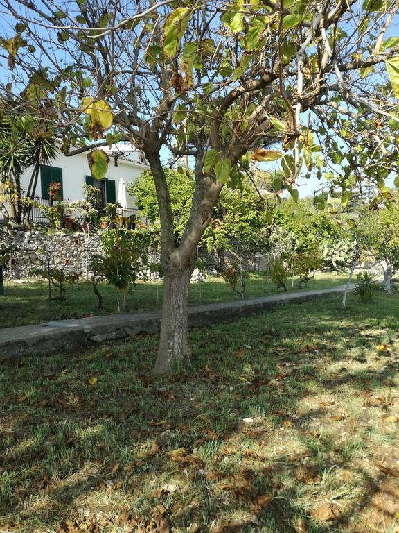 Villa Ninetta-Isabella Gaeta Exteriör bild